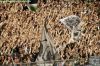 03_05_14_borussia_-_mainz___31.jpg
