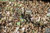 Dateiname=08_03_14__borussia_-_augsburg__19.jpg
Dateigröße=171KB
Abmessungen: 900x600
hinzugefügt am: 09. März 2014 08_03_14__borussia_-_augsburg__19.jpg