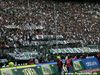 19_05_07__Borussia_Mg_-_Vfl_Bochum___209.jpg