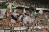 22_09_19__bmg_-_F95__09.jpg
