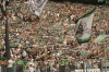 22_09_19__bmg_-_F95__14.jpg