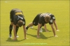 05_07_19_Borussia_trainig_19.jpg