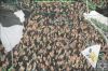 Dateiname=15_03_15__Borussia_-_hannover____30.jpg
Dateigröße=135KB
Abmessungen: 900x600
hinzugefügt am: 15. März 2015 15_03_15__Borussia_-_hannover____30.jpg